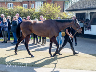 NH220326-23 - Thewoodcorner